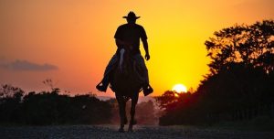 Cowboy at Sunset