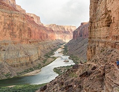 Colorado River in The Grand Canyon